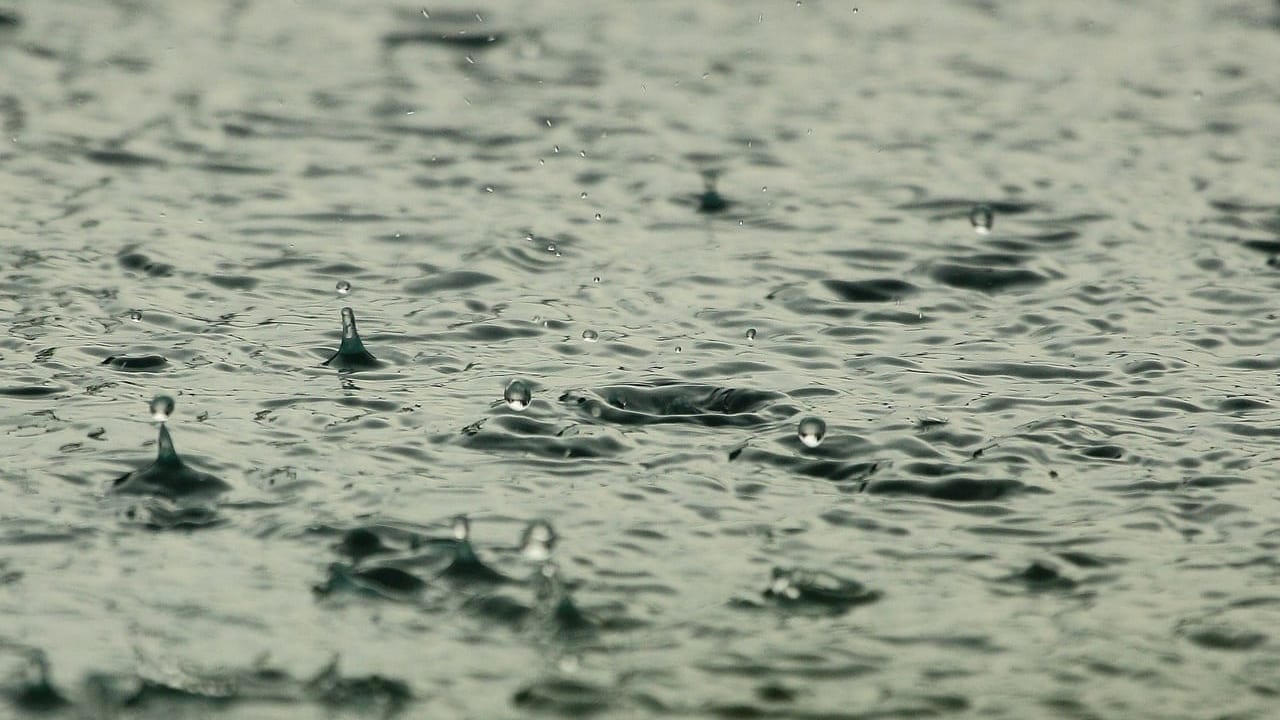 佐賀県　雨