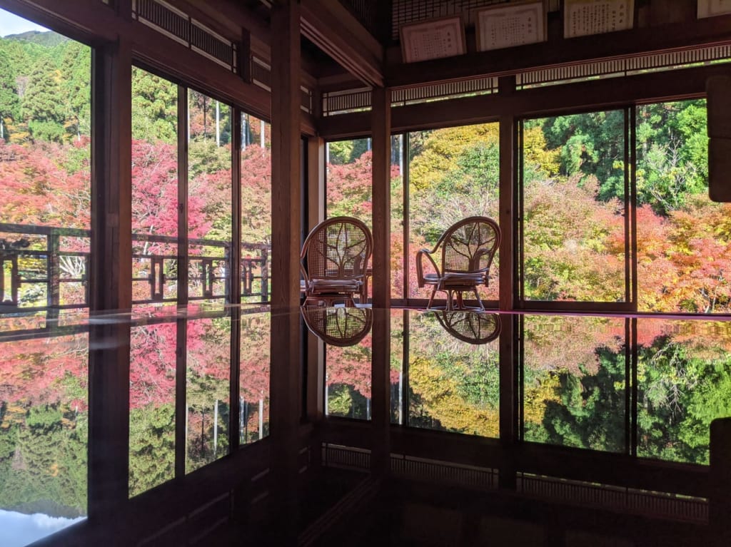 佐賀県　紅葉スポット　環境芸術の森