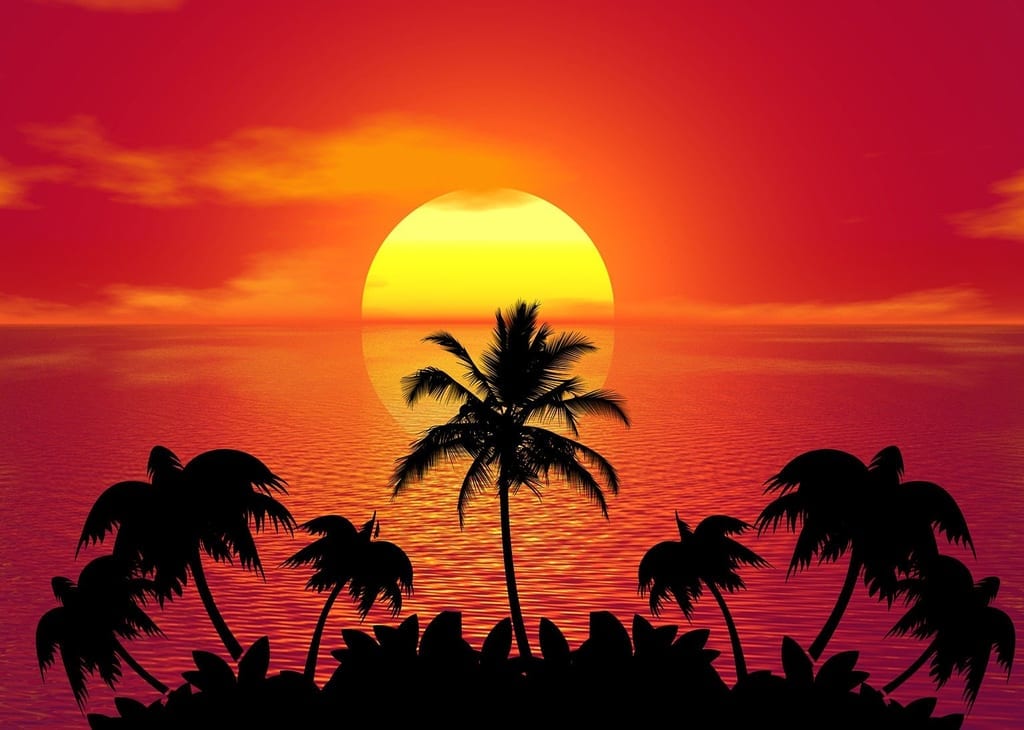 佐賀市　太陽　夏
